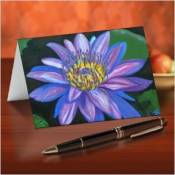 Water Lily